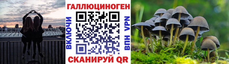Галлюциногенные грибы Cubensis  Энем 